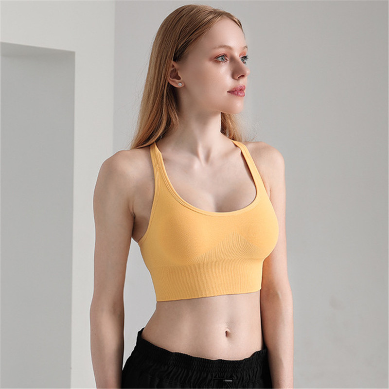 Sports Bra Autumn and Winter New Women's Shockproof Gathered