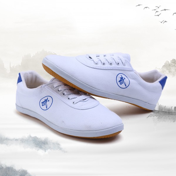 Tai chi kung fu shoes for women and men 